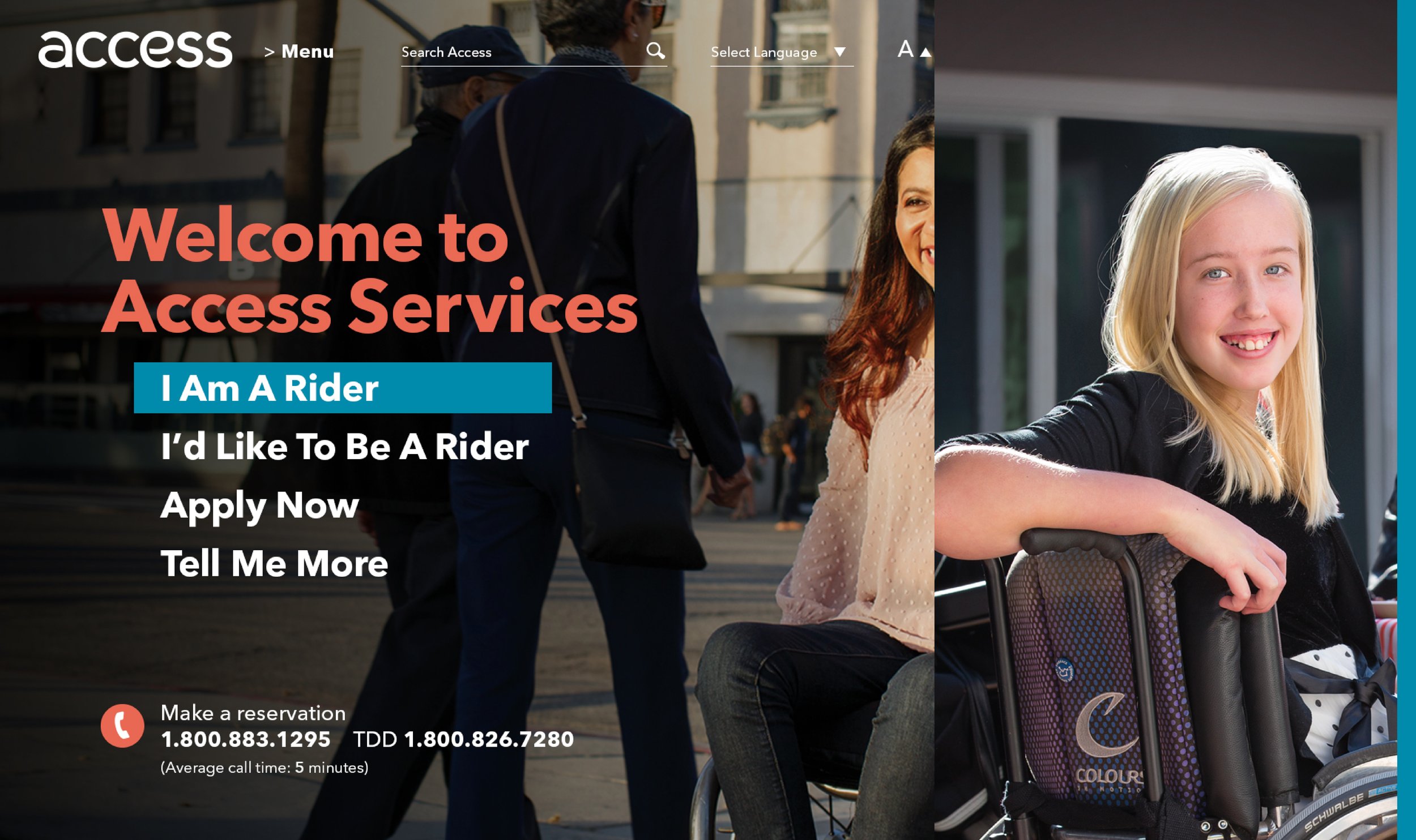 Access Services — Website Design Concept — view 4