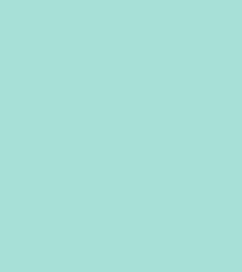 Olive + Spark — Hello Email Animation